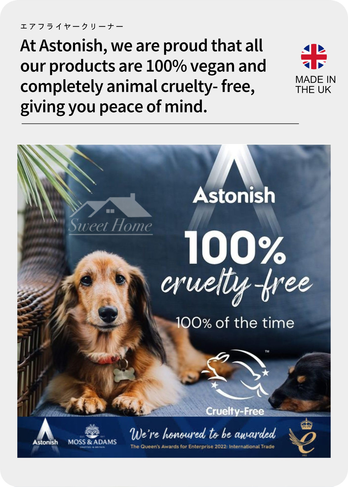 Astonish Specialist Air Fryer Cleaner-8